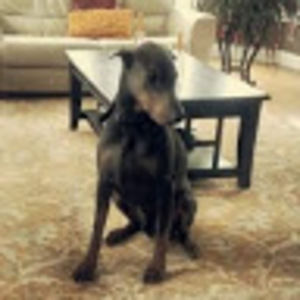 Meet your Posher, Jeff